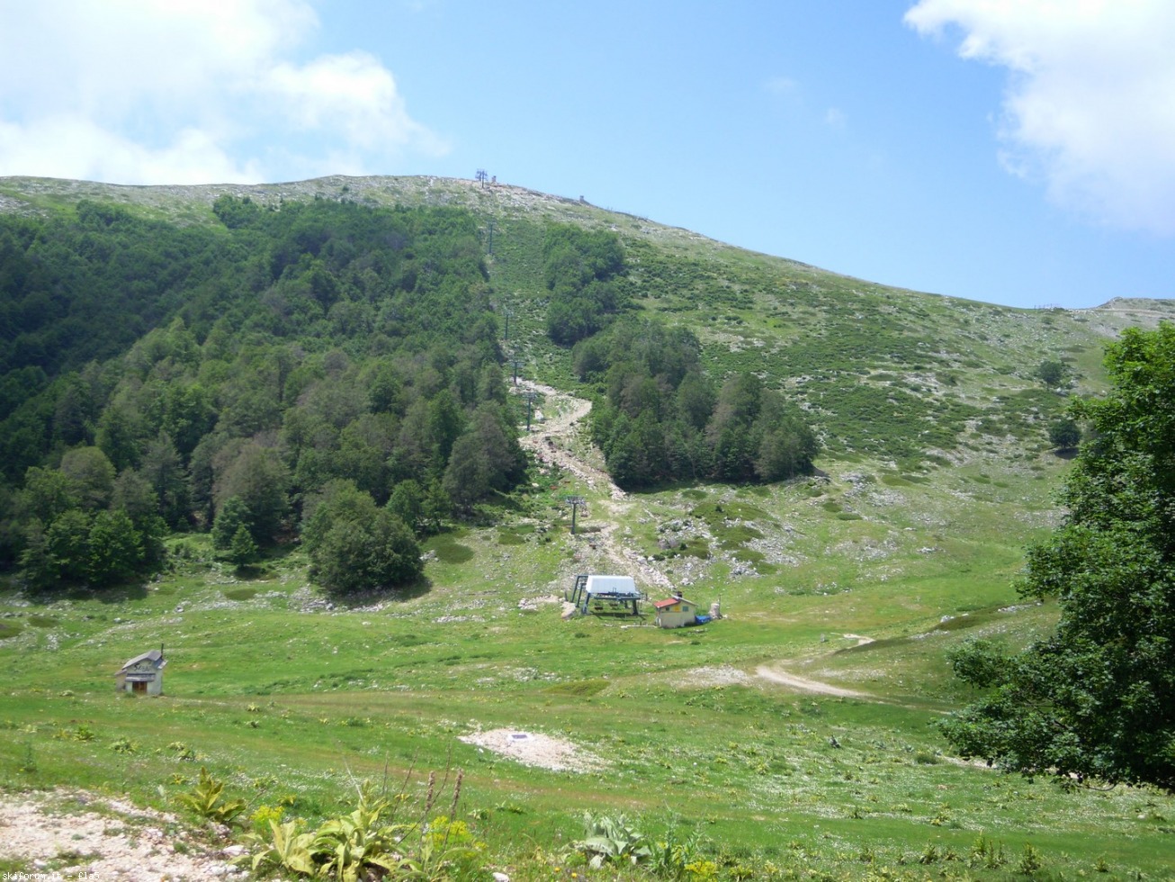 169791-dscn5932.jpg
