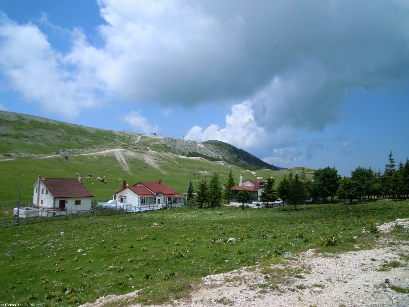 169793-dscn5938.jpg
