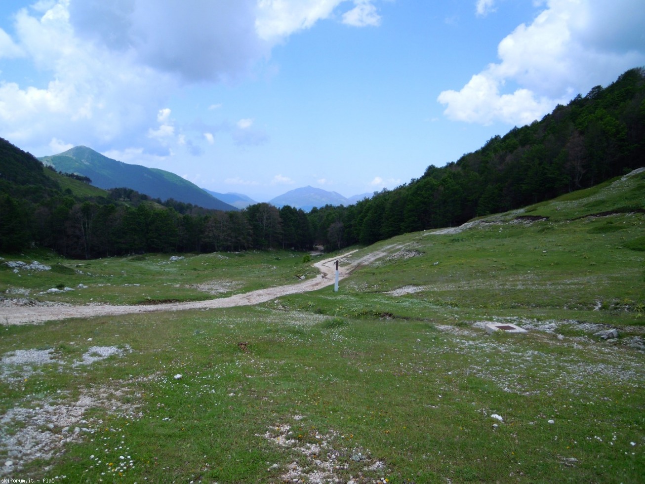 169798-dscn5945.jpg