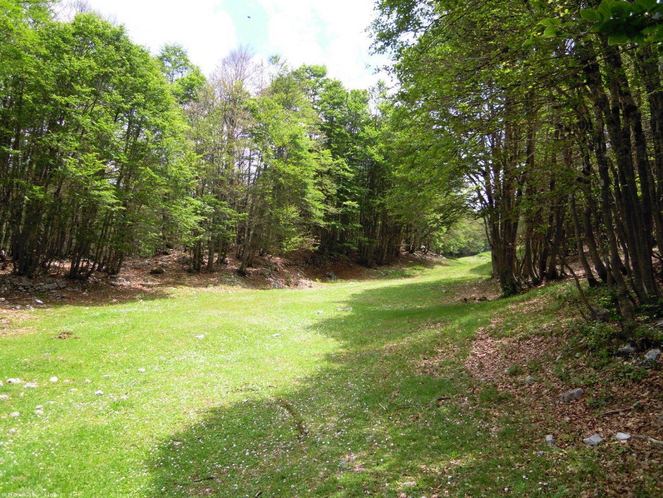 169799-dscn5948.jpg