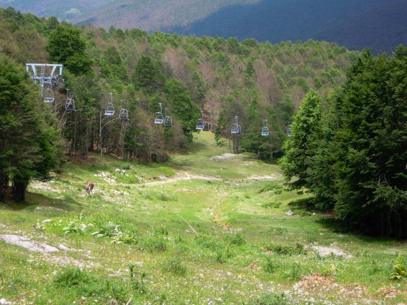 169800-dscn5951.jpg