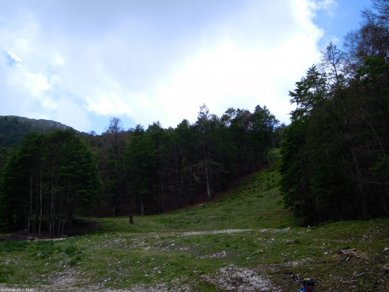 169803-dscn5957.jpg