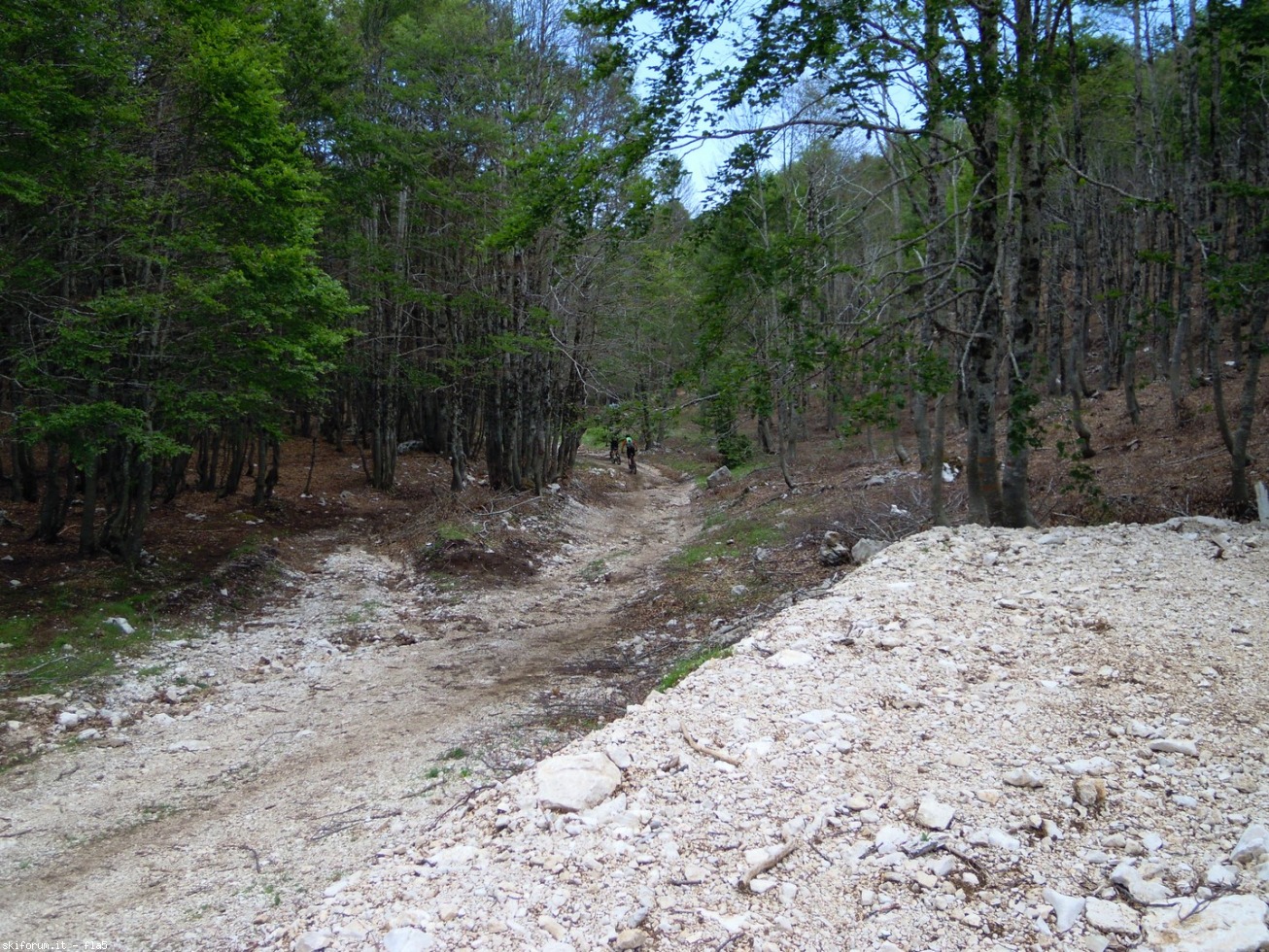 169804-dscn5958.jpg