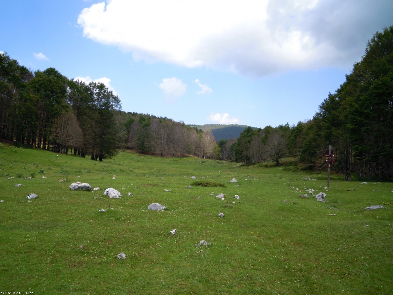 169806-dscn5961.jpg