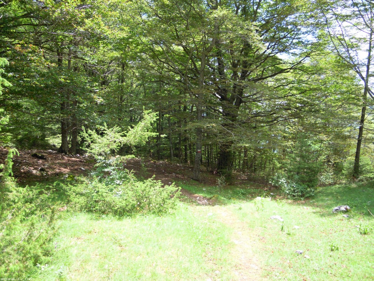 169807-dscn5964.jpg
