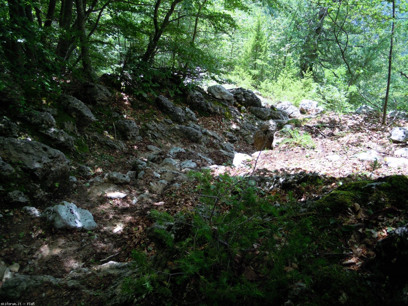 169808-dscn5966.jpg