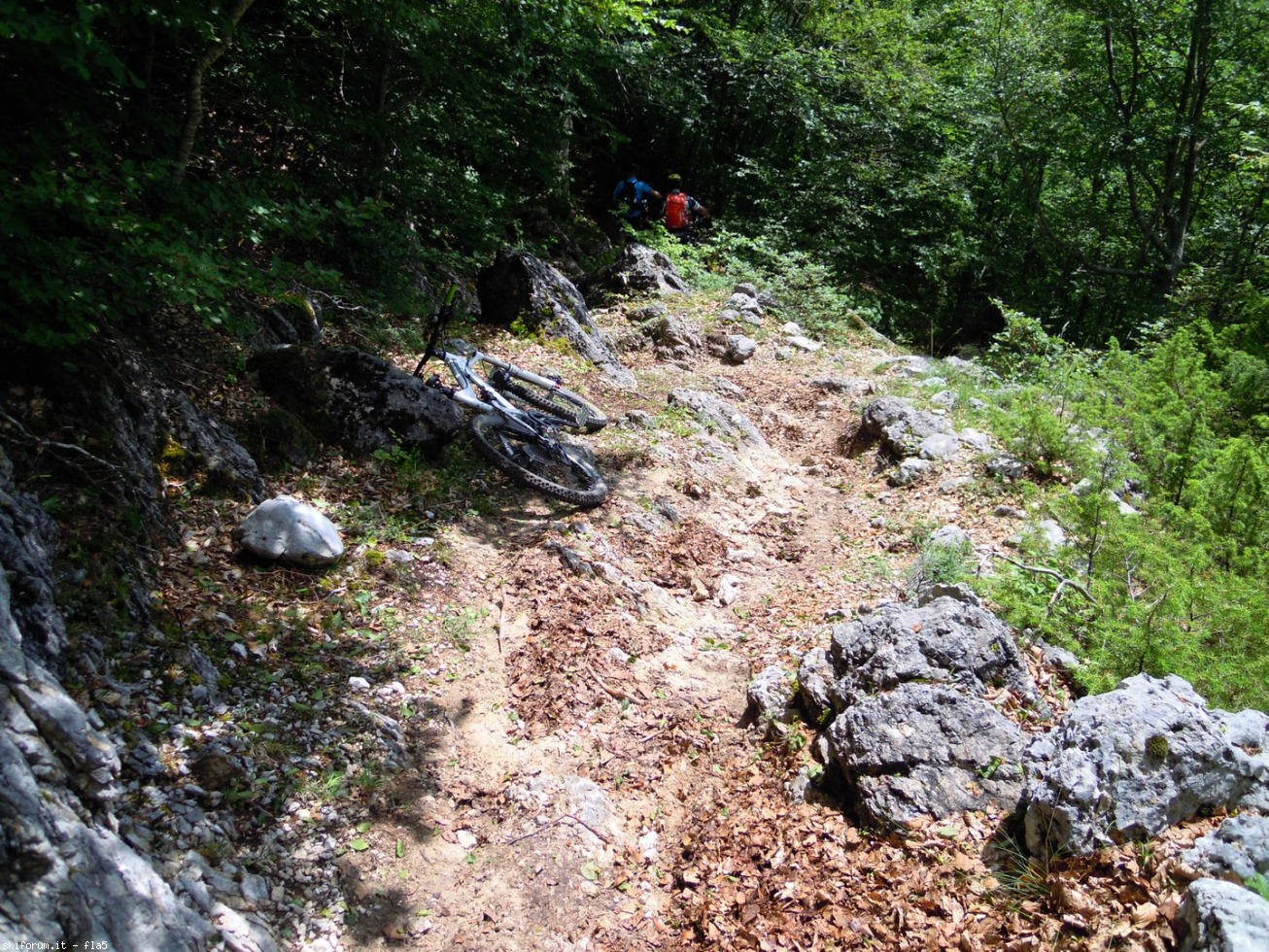 169809-dscn5969.jpg