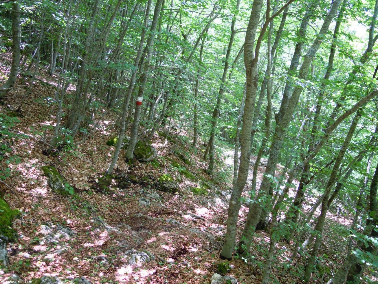 169810-dscn5970.jpg
