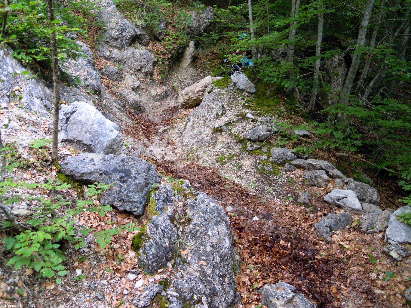 169812-dscn5972.jpg
