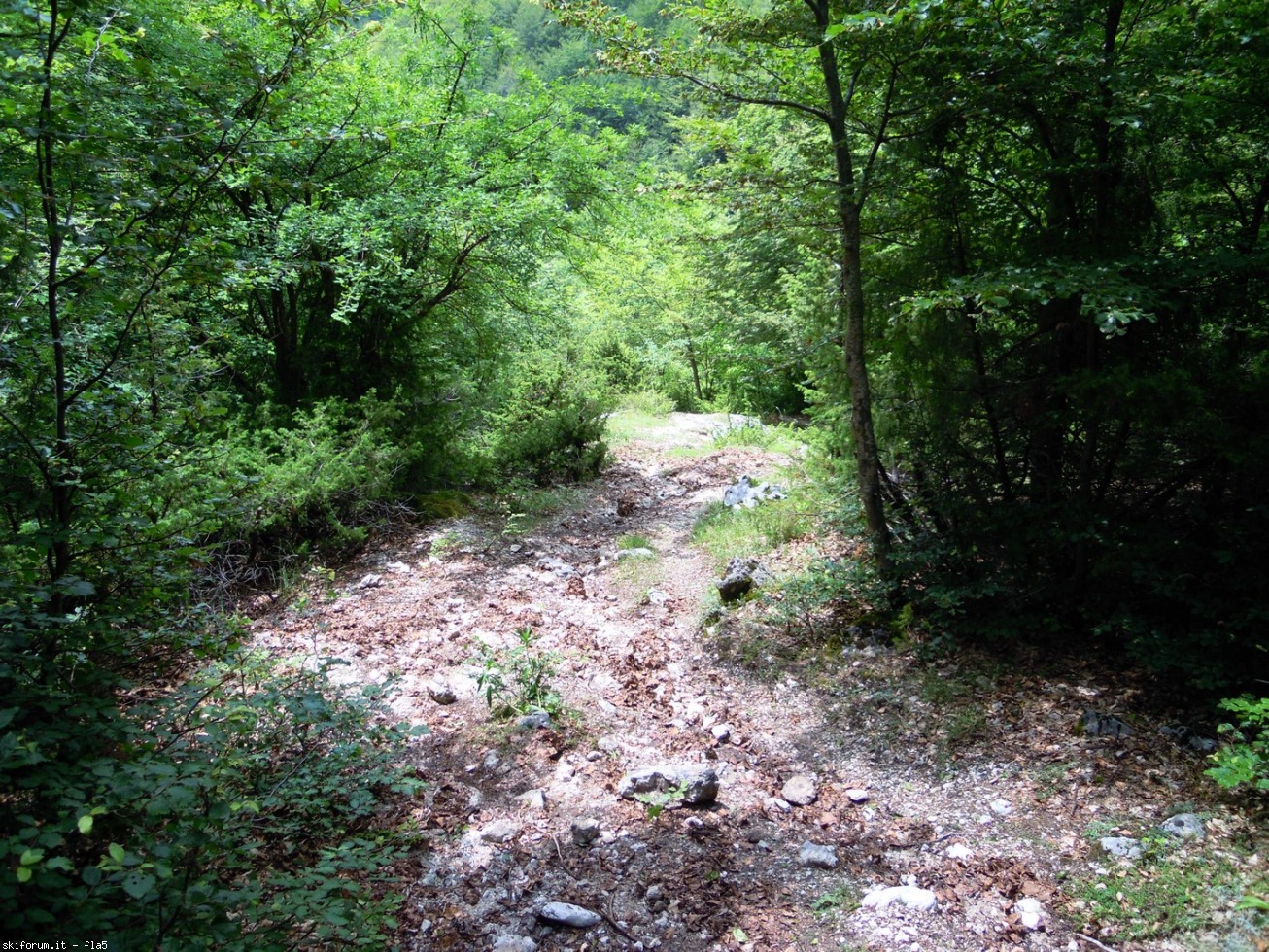 169813-dscn5974.jpg