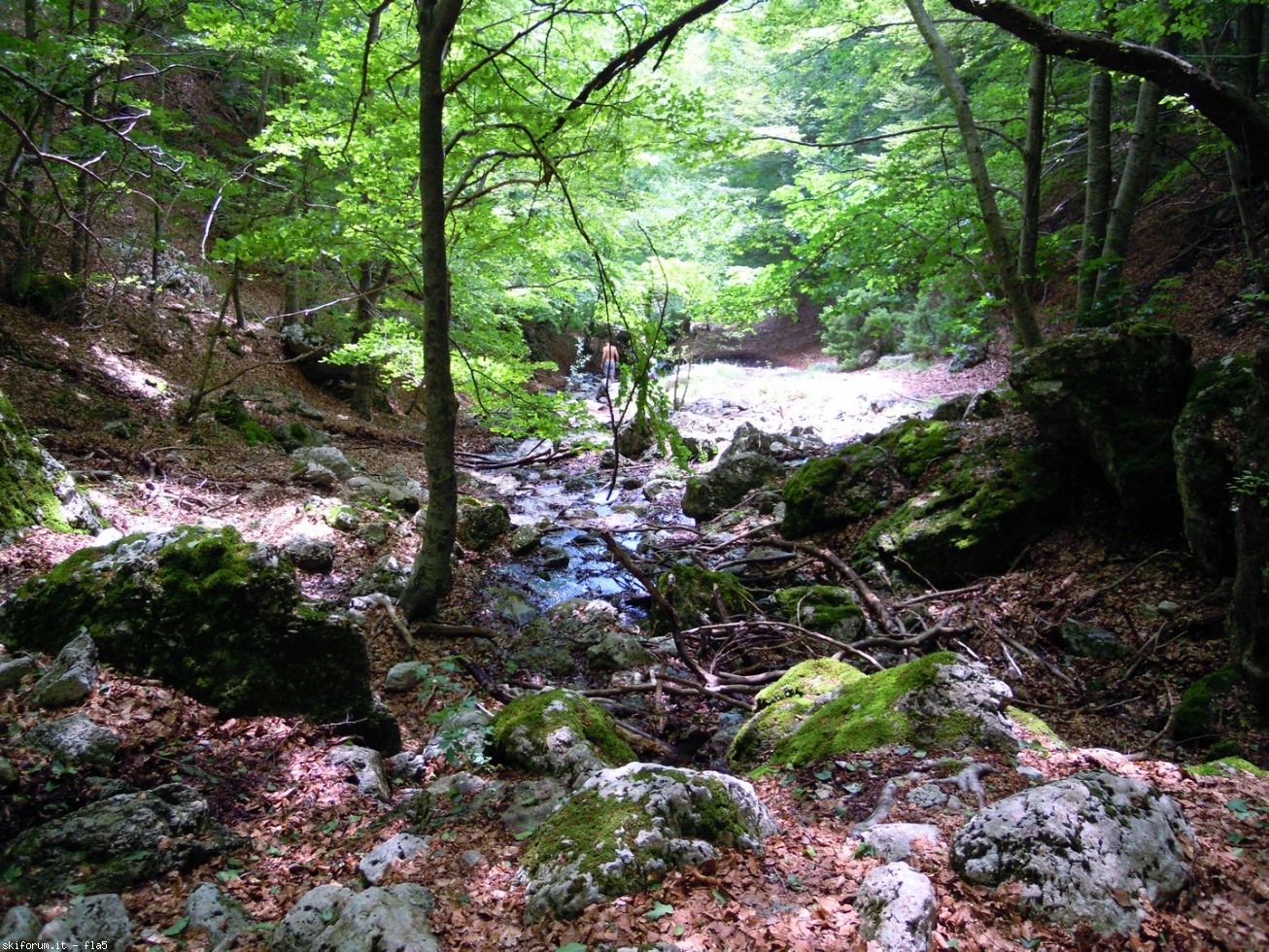 169814-dscn5977.jpg