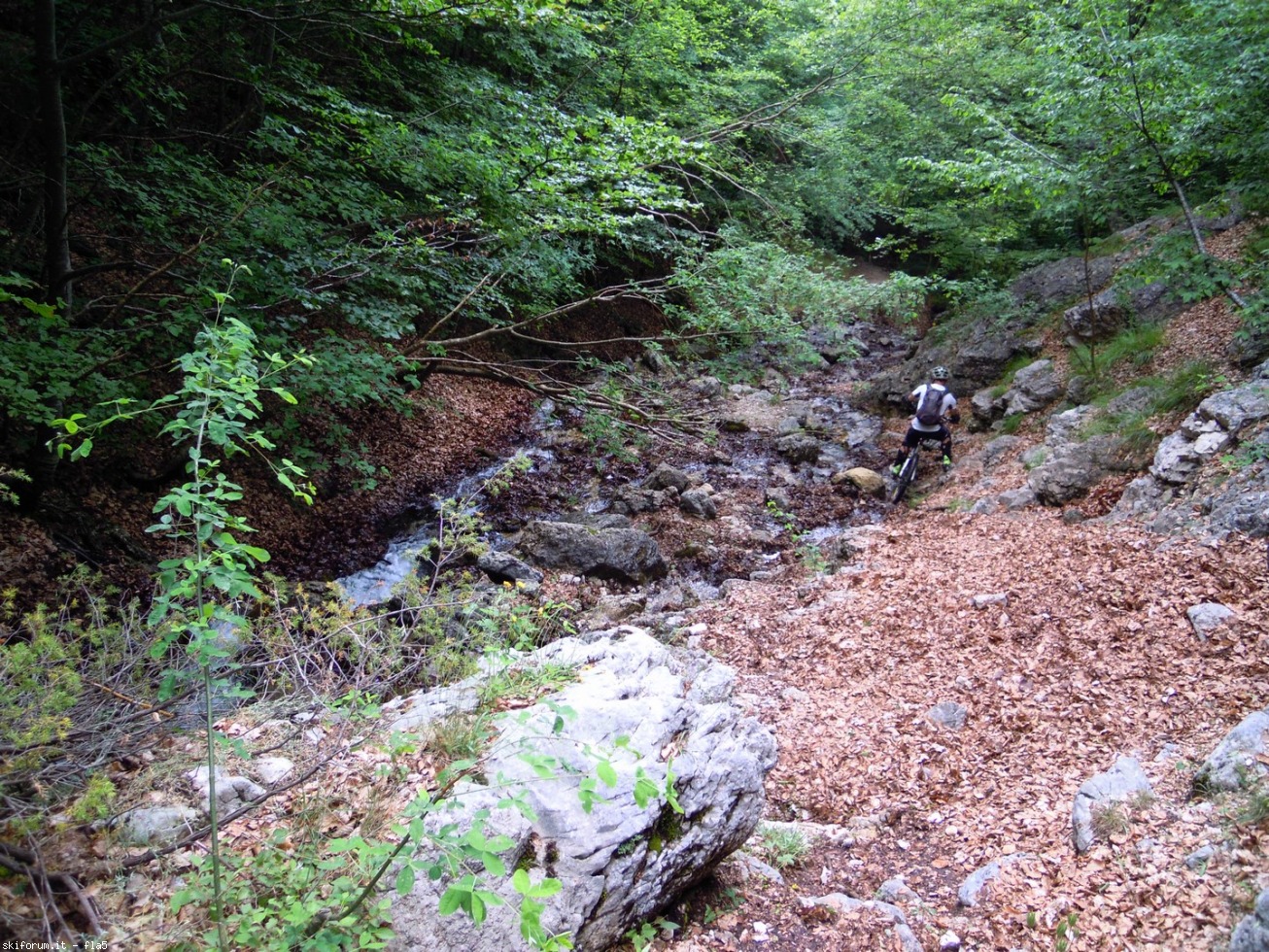 169815-dscn5980.jpg