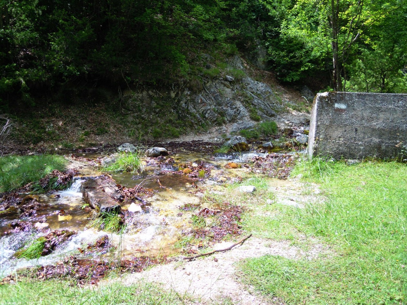 169816-dscn5981.jpg
