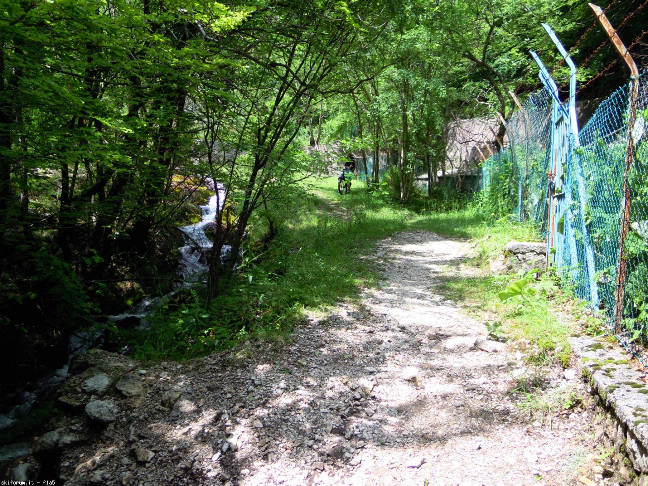 169817-dscn5985.jpg