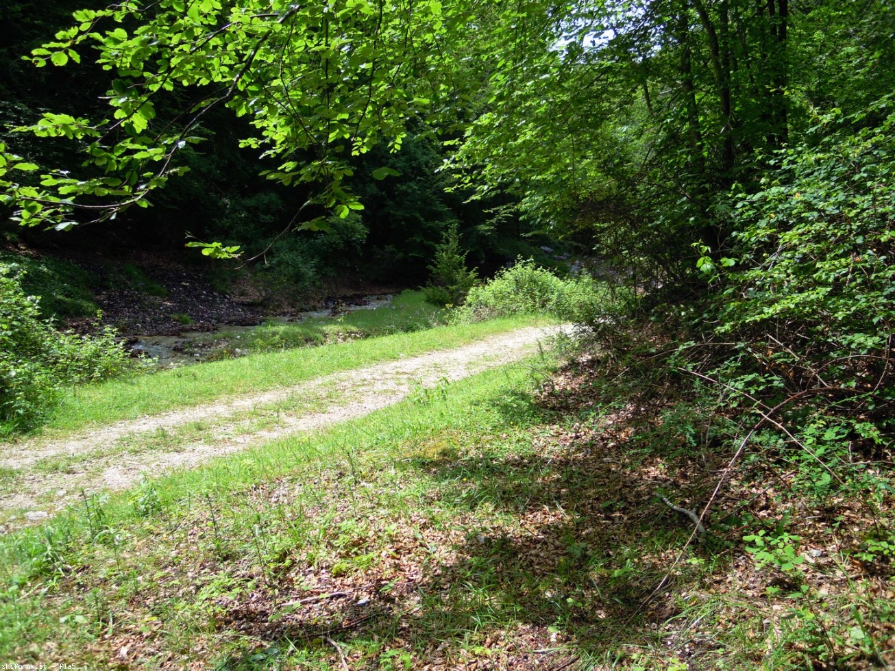 169818-dscn5988.jpg