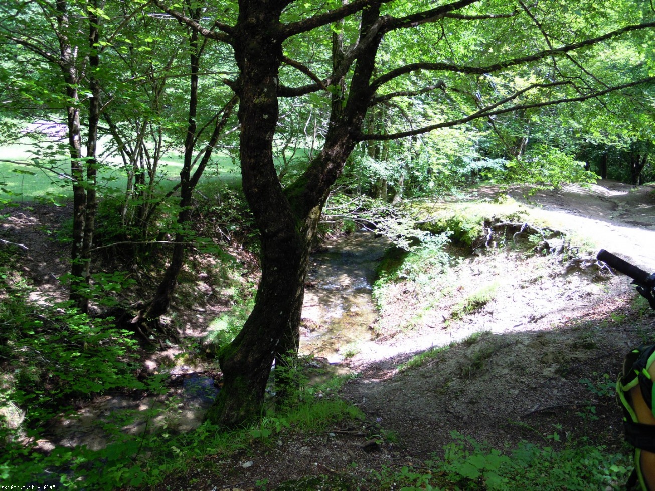 169819-dscn5991.jpg