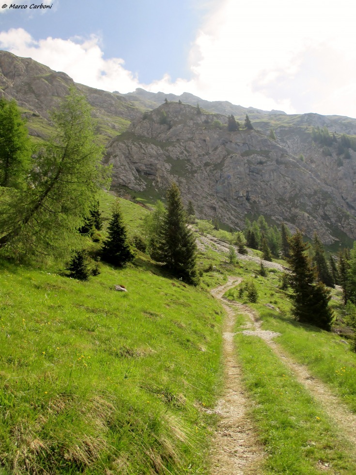 169881-cima-vallona-1-img4493.jpg