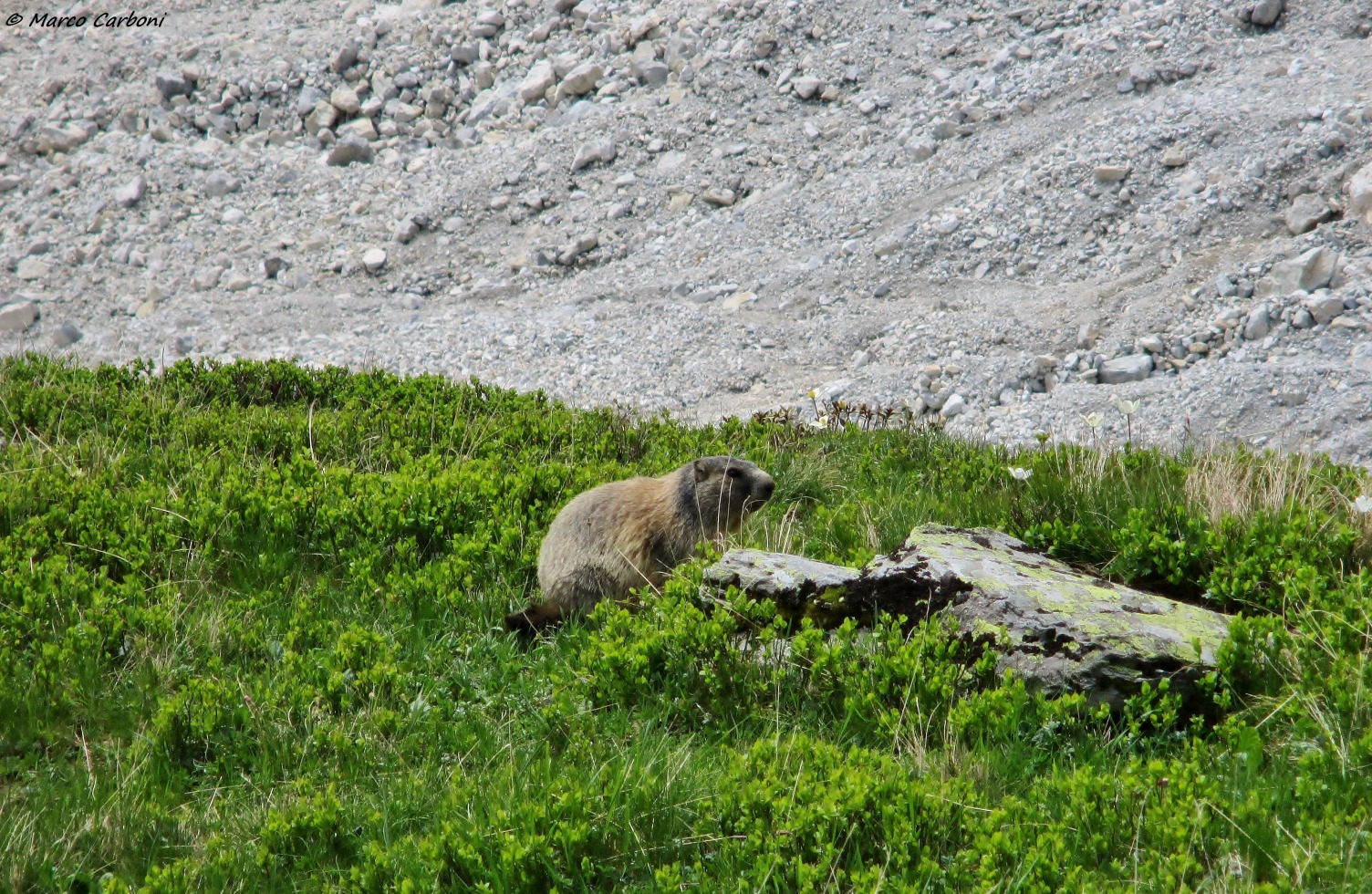 169894-cima-vallona-2-img4524.jpg