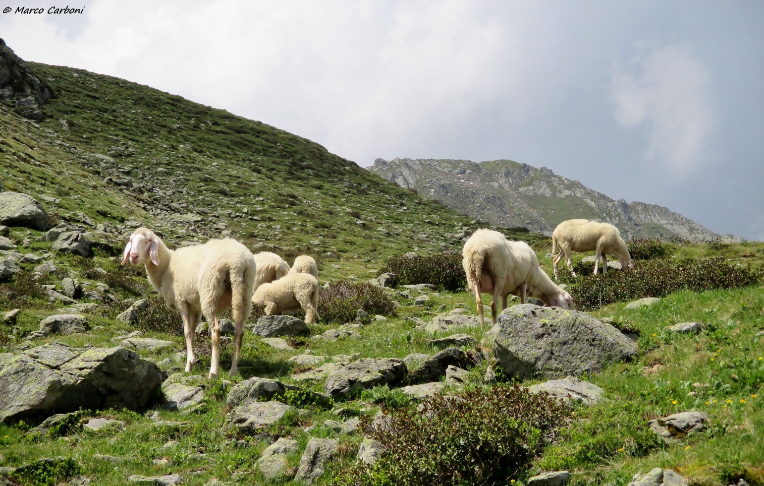 169902-cima-vallona-3-img4542.jpg
