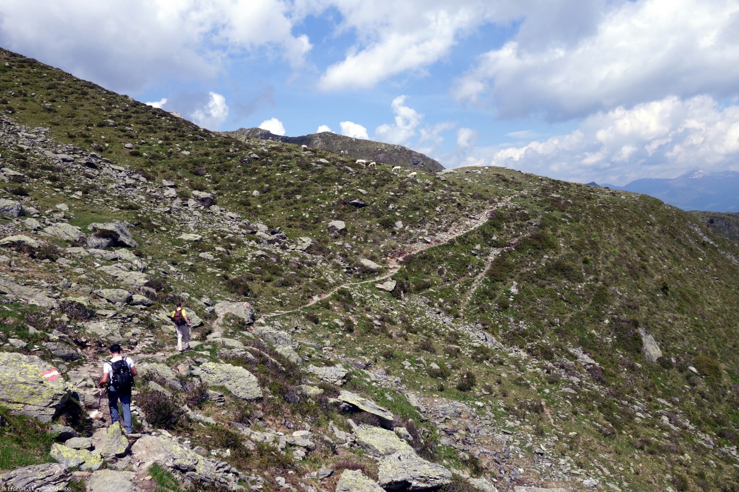 169950-dsc05446.jpg