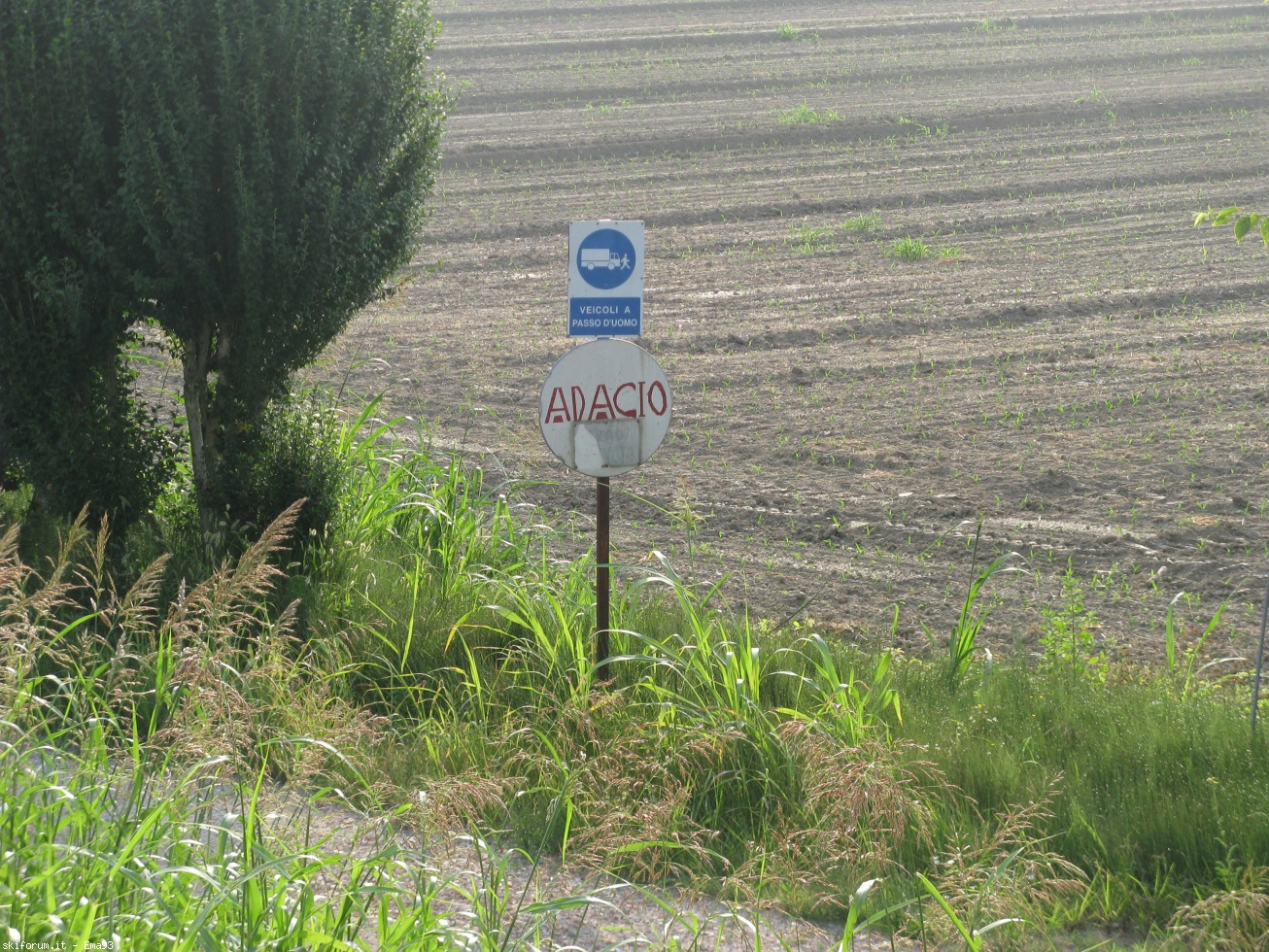 170188-viaggio-nelle-terre-basse-img3687.jpg