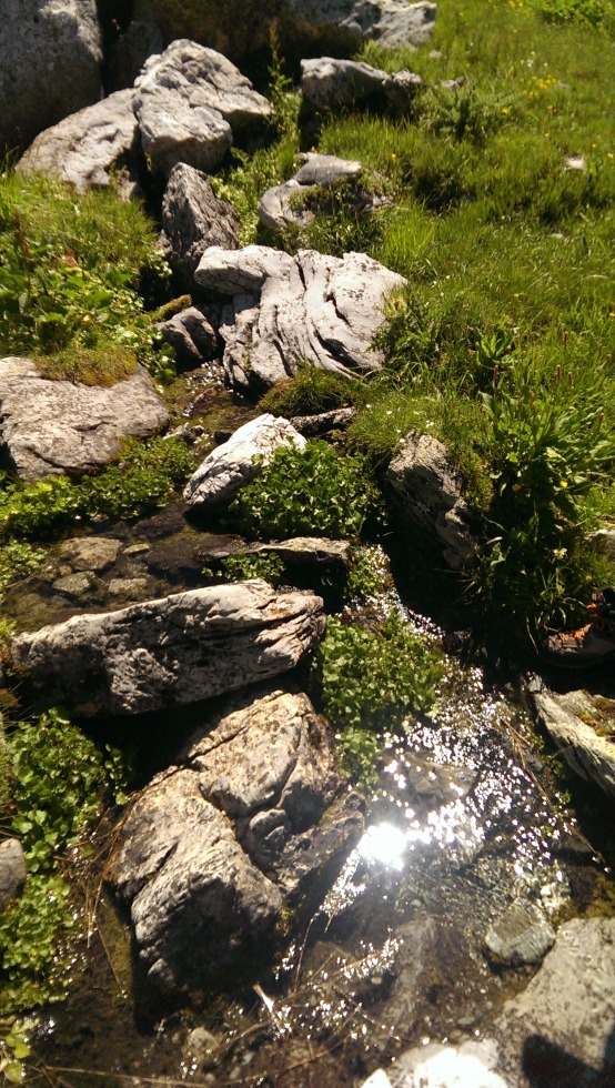 170256-imag3004.jpg
