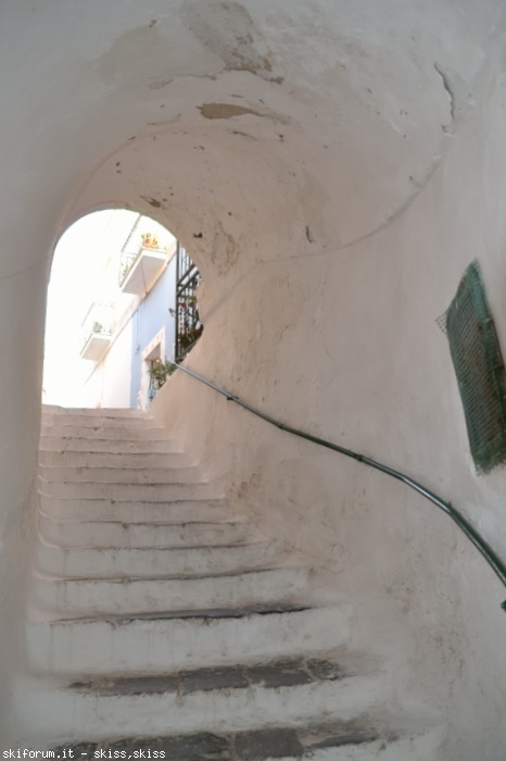 170839-ponza-e-palmarola-dsc0685.jpg