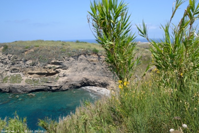 170893-ventotene2-isole-pontine-luglio-2016-dsc0741.jpg