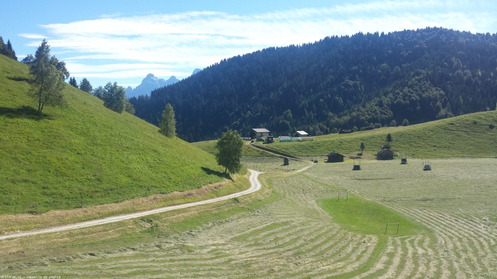171433-pavione-20160717094942.jpg