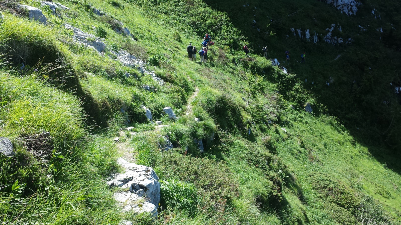 171444-pavione-20160717113859.jpg