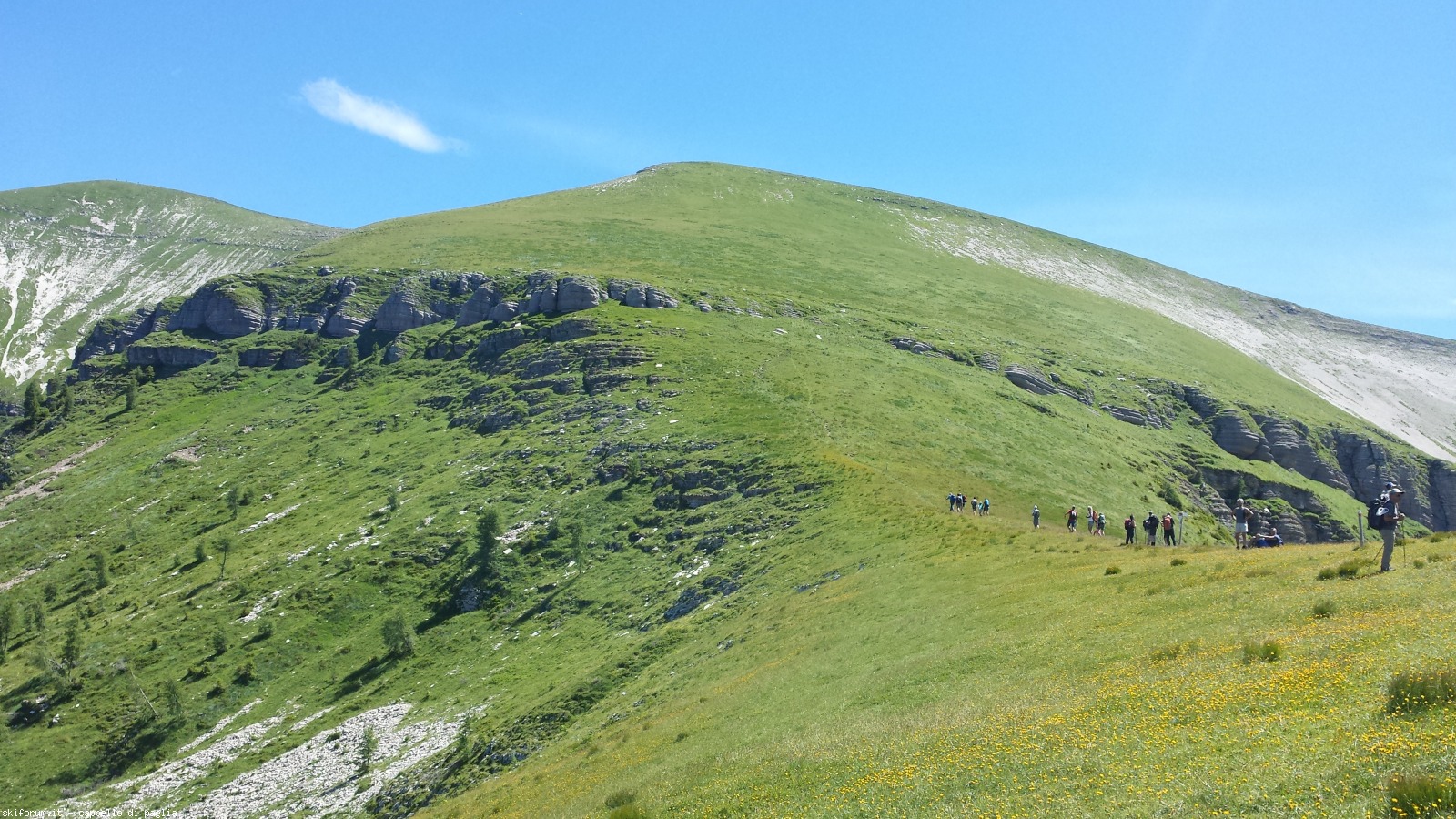 171450-pavione-20160717120545.jpg
