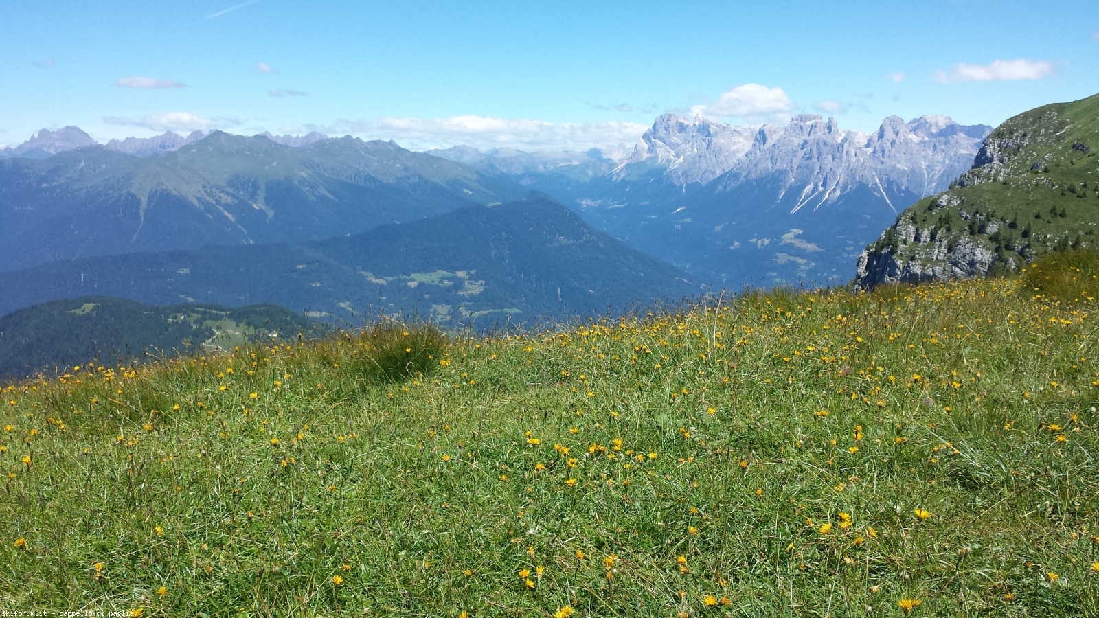 171454-pavione-20160717120820.jpg