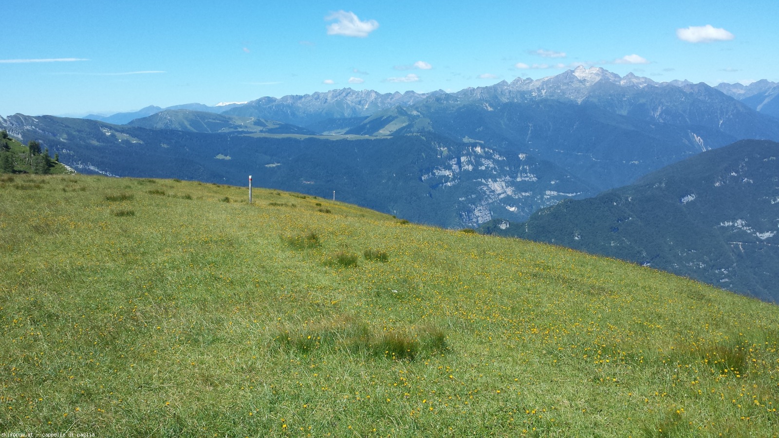 171455-pavione-20160717120827.jpg