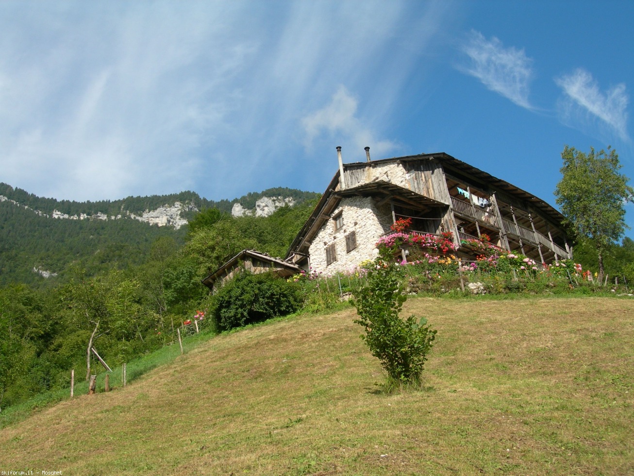 171470-dscn8865.jpg