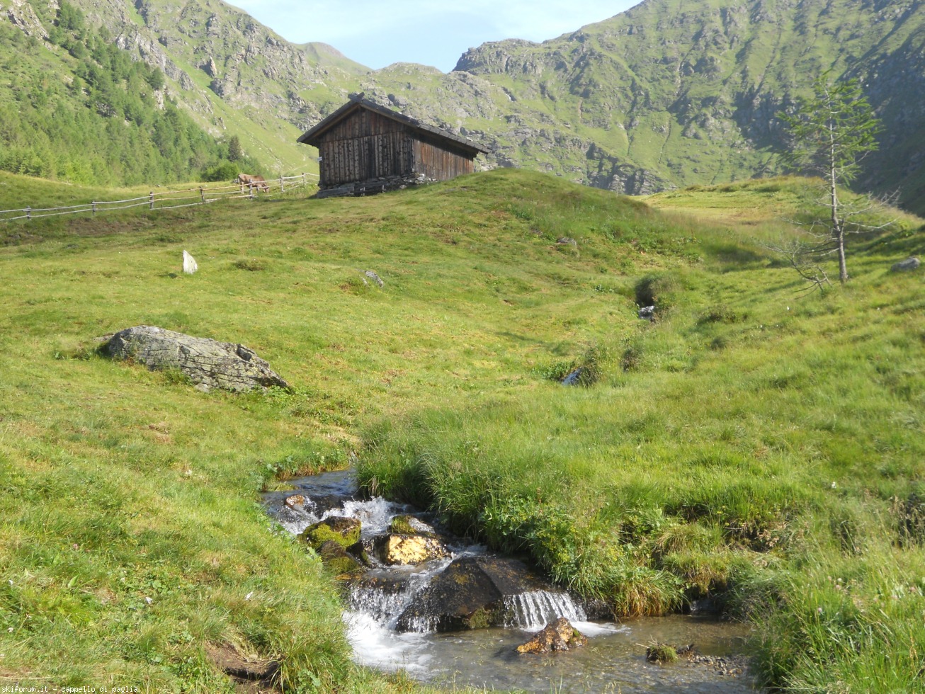 171485-altafossa-dscn1305.jpg