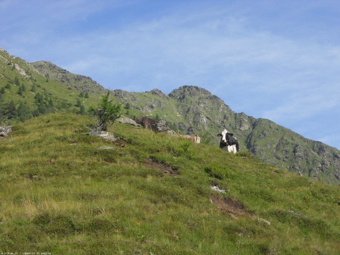 171487-altafossa-dscn1309.jpg
