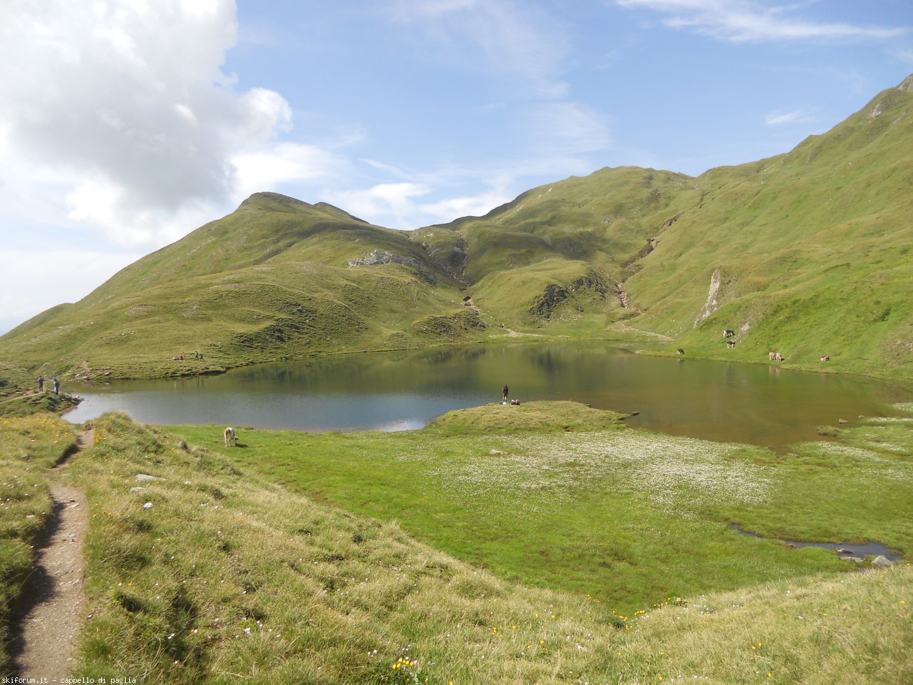 171508-altafossa-dscn1395.jpg