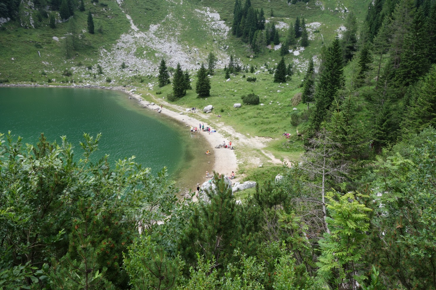 171700-dsc06514.jpg