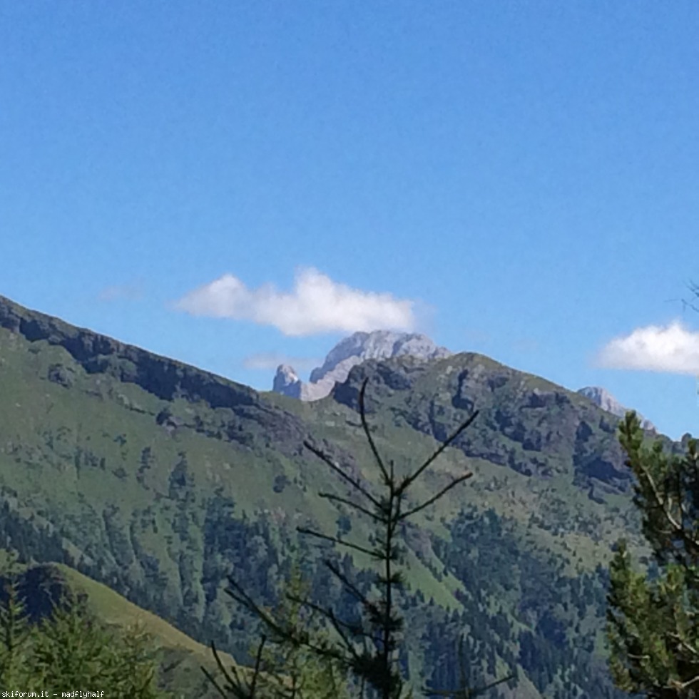 172212-trekking-preview-image.jpeg