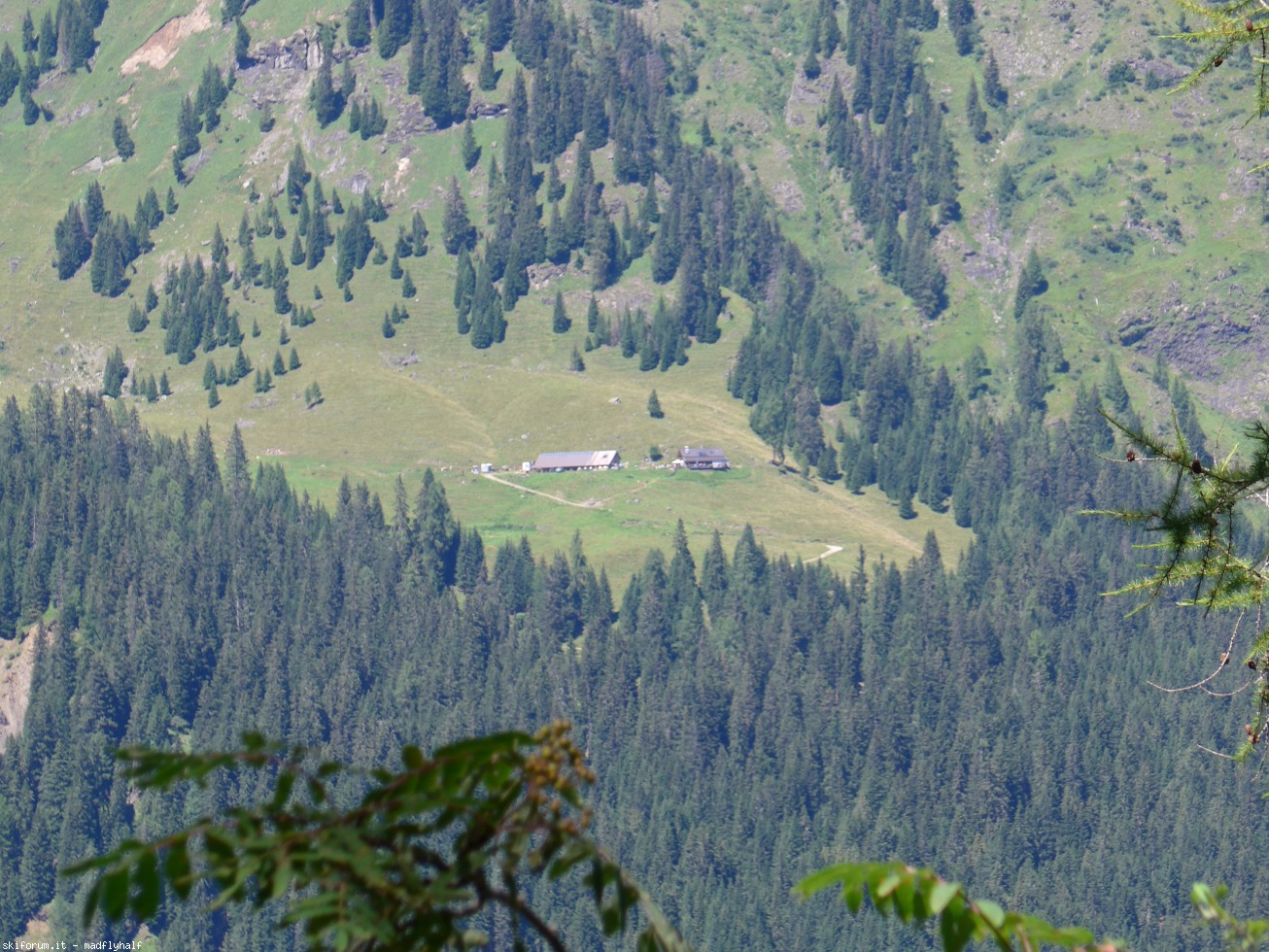 172691-viaz-del-bus-p1000199.jpg