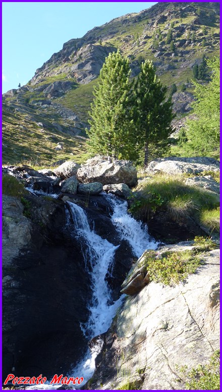 172776-p1180481.jpg