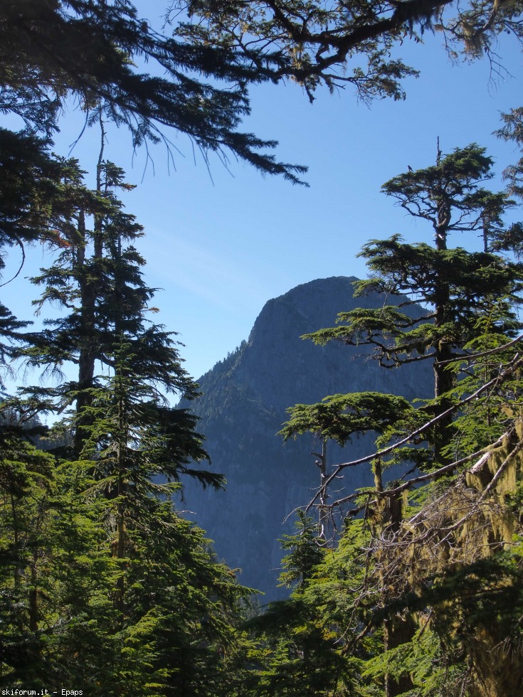 172875-mount-brunswick-003.jpg