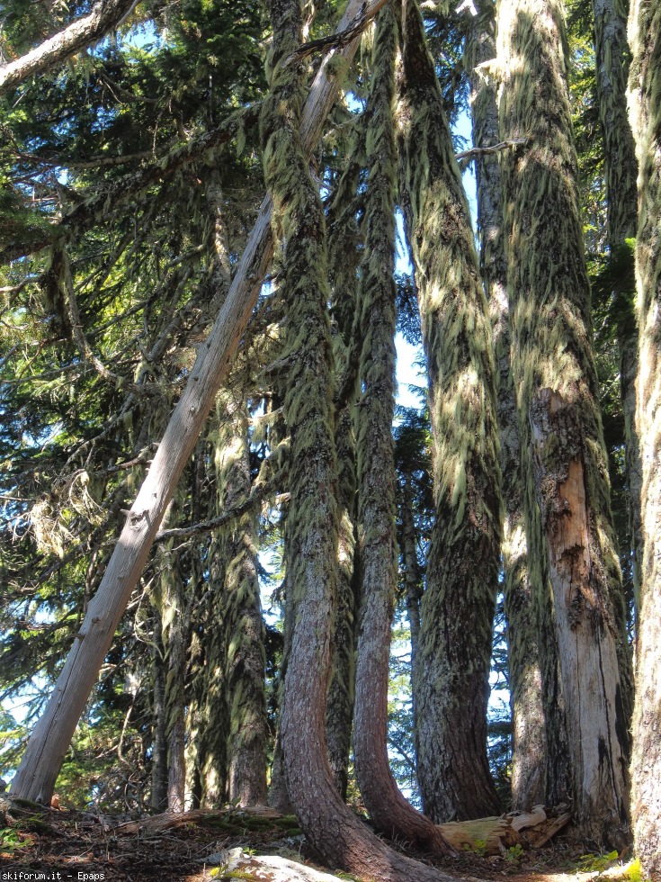 172881-mount-brunswick-009.jpg
