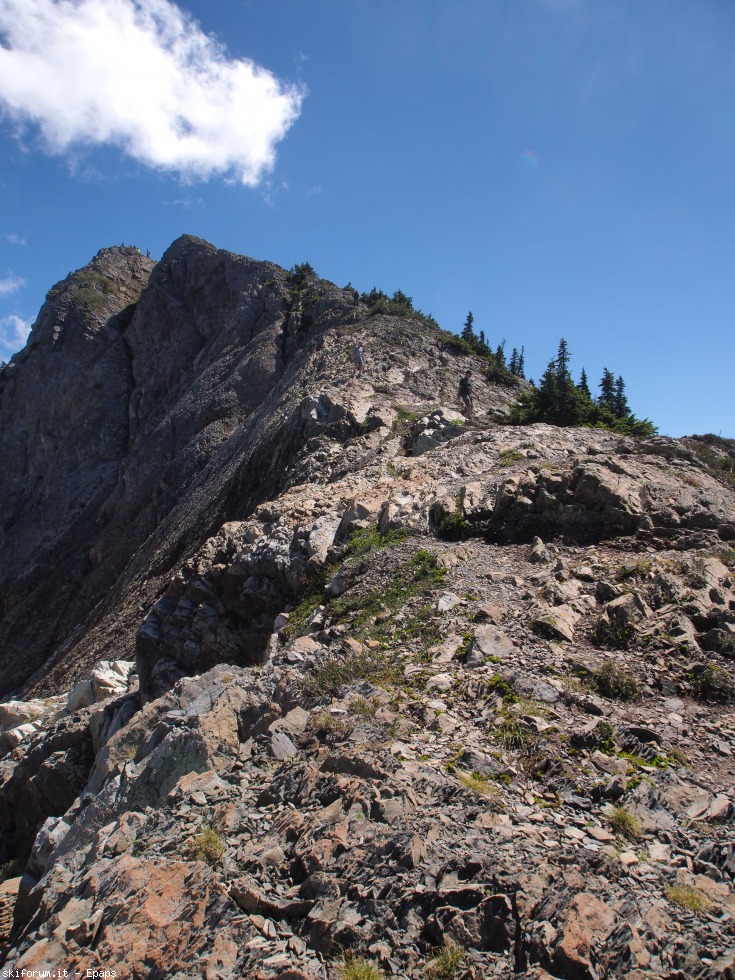 172884-mount-brunswick-012.jpg