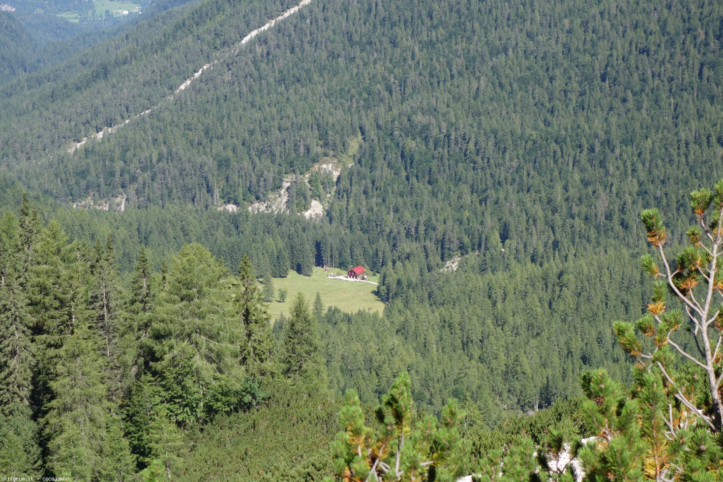 172972-forc-11.jpg