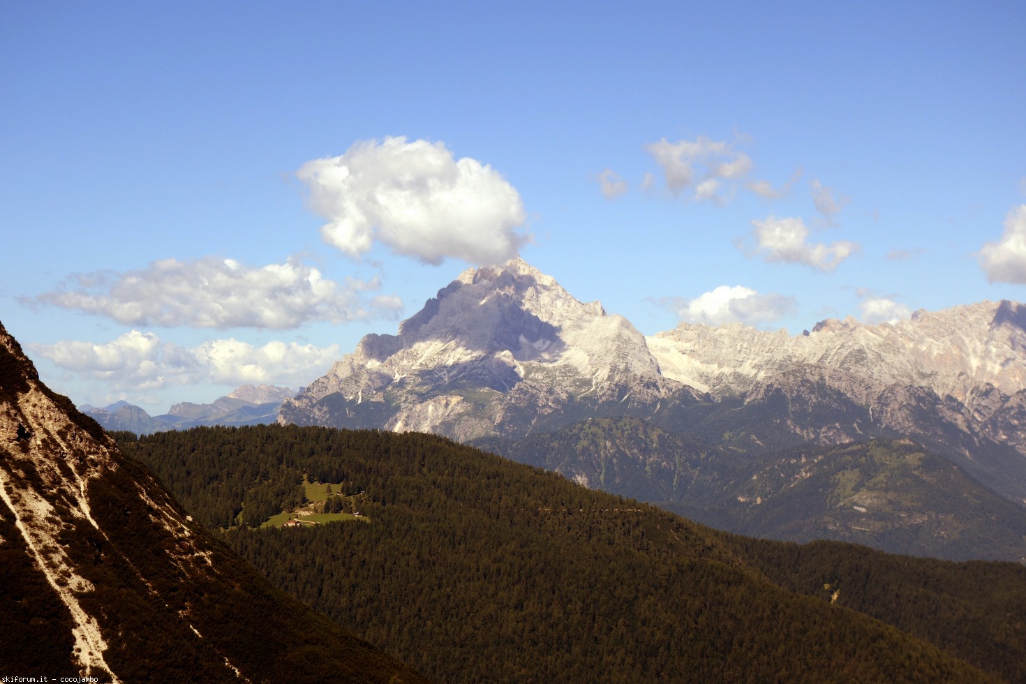 172973-forc-12.jpg
