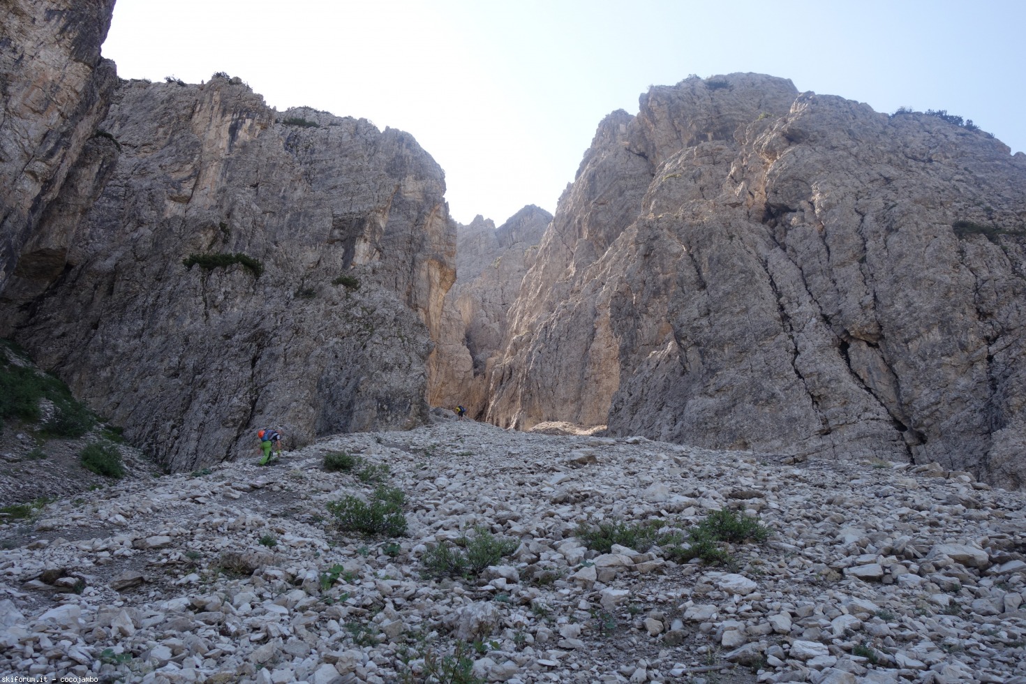172974-forc-13.jpg