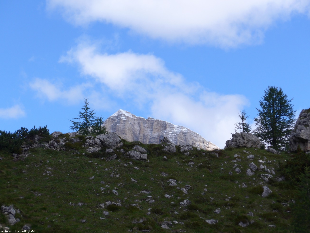 173086-wlf-cucu-p1000457.jpg