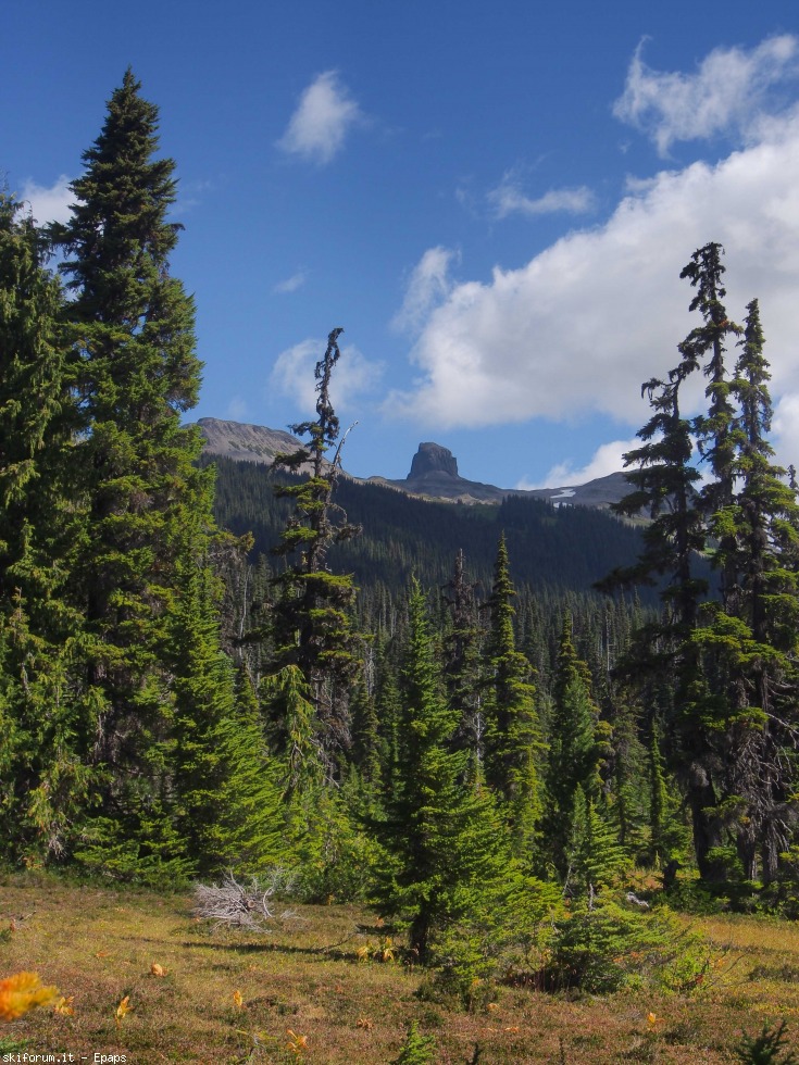 173504-black-tusk-2-of-37.jpg