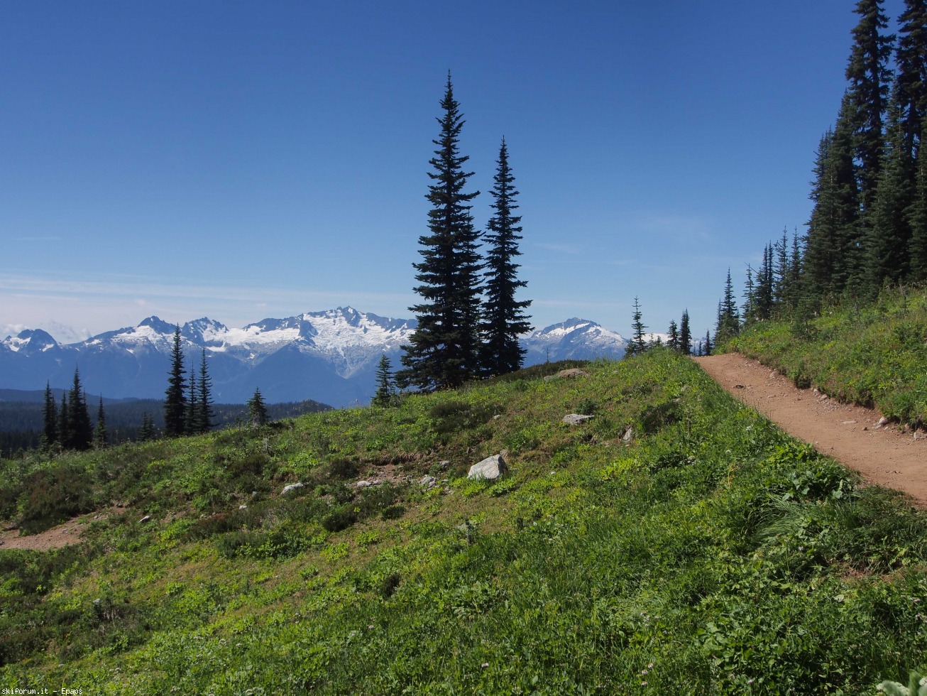 173508-black-tusk-6-of-37.jpg